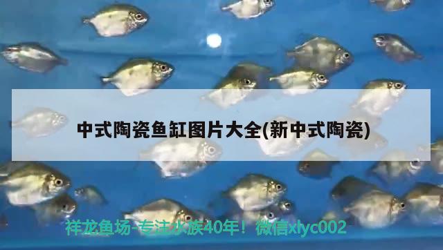 中式陶瓷魚(yú)缸圖片大全(新中式陶瓷) 丹頂錦鯉魚(yú) 第1張