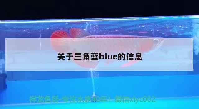 關(guān)于三角藍blue的信息