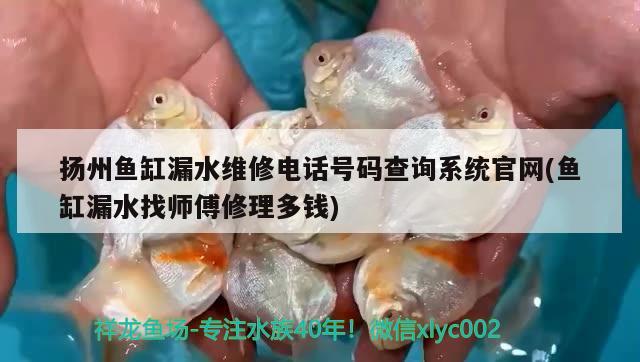 揚(yáng)州魚(yú)缸漏水維修電話號(hào)碼查詢系統(tǒng)官網(wǎng)(魚(yú)缸漏水找?guī)煾敌蘩矶噱X(qián))