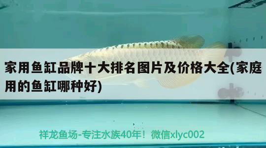 家用魚缸品牌十大排名圖片及價格大全(家庭用的魚缸哪種好) 魚缸風水 第2張