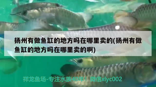 揚(yáng)州有做魚缸的地方嗎在哪里賣的(揚(yáng)州有做魚缸的地方嗎在哪里賣的啊) 魚缸百科