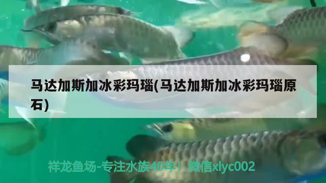 馬達(dá)加斯加冰彩瑪瑙(馬達(dá)加斯加冰彩瑪瑙原石) 觀賞魚