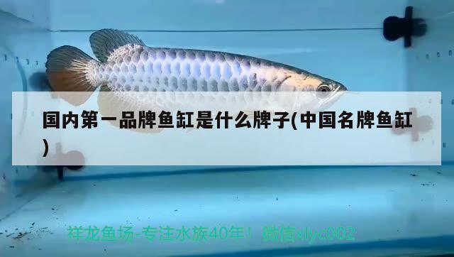 國內(nèi)第一品牌魚缸是什么牌子(中國名牌魚缸) 觀賞龜/鱉飼料