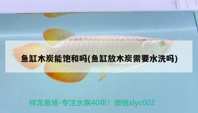 魚缸木炭能飽和嗎(魚缸放木炭需要水洗嗎) 撒旦鴨嘴魚