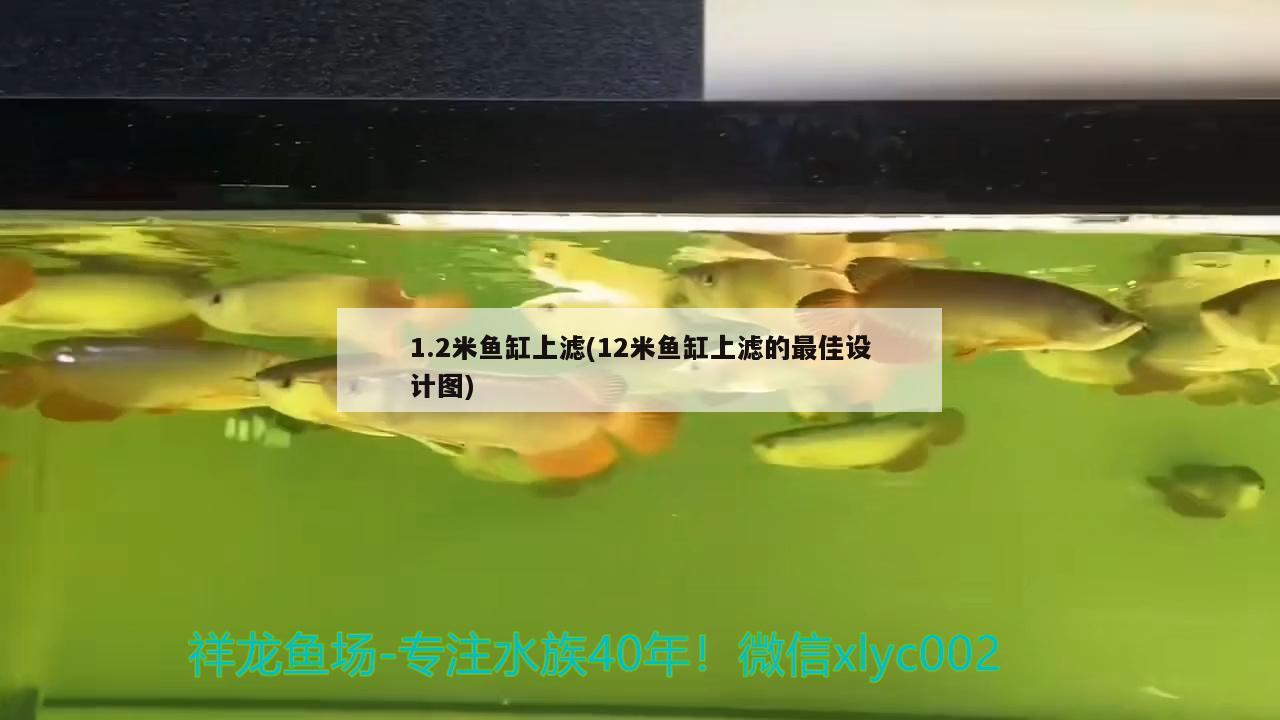 1.2米魚(yú)缸上濾(12米魚(yú)缸上濾的最佳設(shè)計(jì)圖)