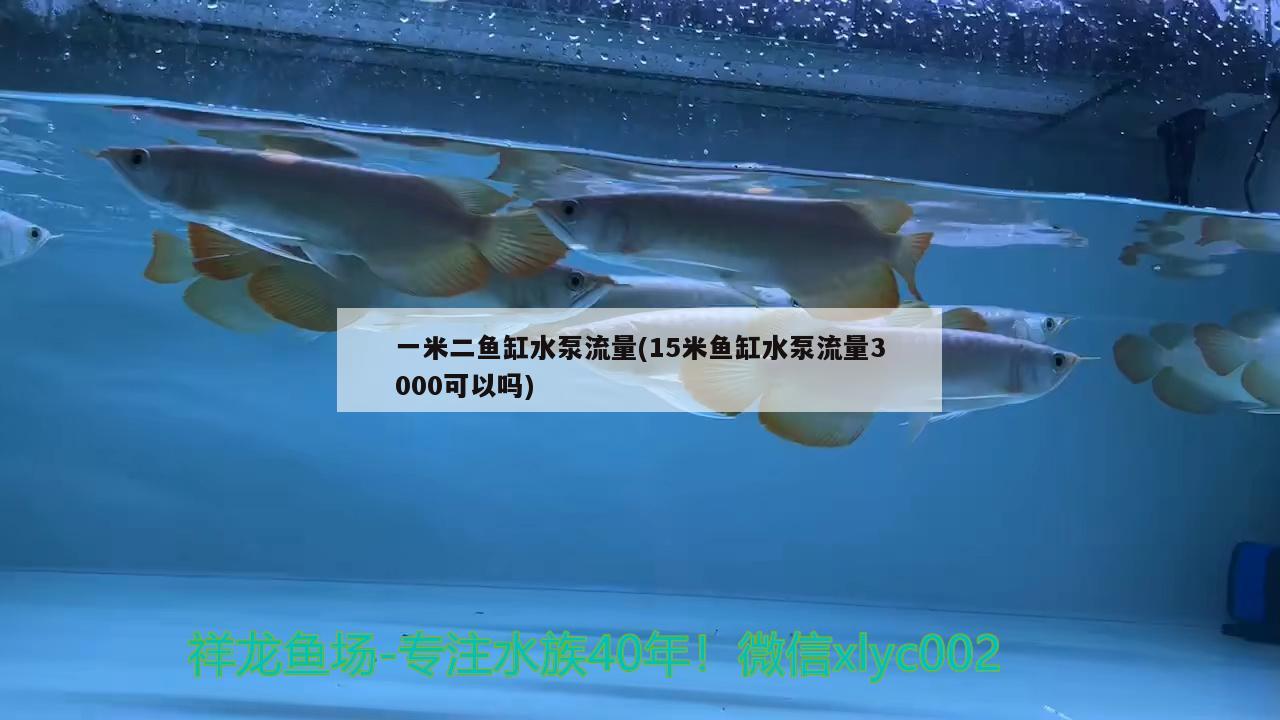 一米二魚缸水泵流量(15米魚缸水泵流量3000可以嗎)