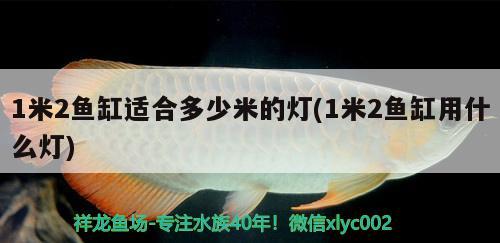 1米2魚缸適合多少米的燈(1米2魚缸用什么燈) 黑云魚