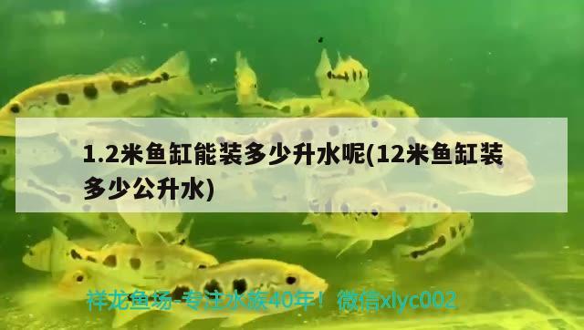 1.2米魚缸能裝多少升水呢(12米魚缸裝多少公升水)