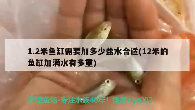 1.2米魚缸需要加多少鹽水合適(12米的魚缸加滿水有多重) 戰(zhàn)車紅龍魚