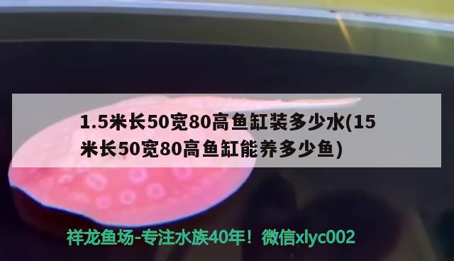 1.5米長50寬80高魚缸裝多少水(15米長50寬80高魚缸能養(yǎng)多少魚) 稀有金龍魚