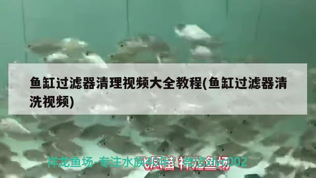 魚缸過濾器清理視頻大全教程(魚缸過濾器清洗視頻)