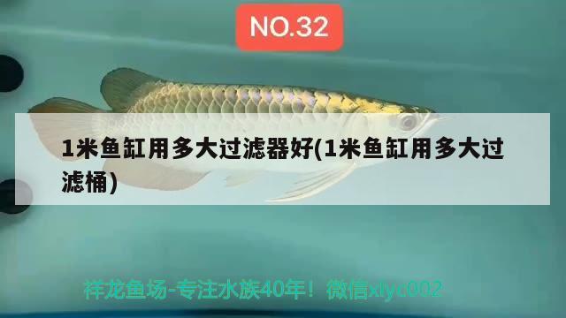 1米魚缸用多大過濾器好(1米魚缸用多大過濾桶) 綠皮辣椒小紅龍 第2張