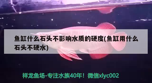 魚(yú)缸什么石頭不影響水質(zhì)的硬度(魚(yú)缸用什么石頭不硬水)