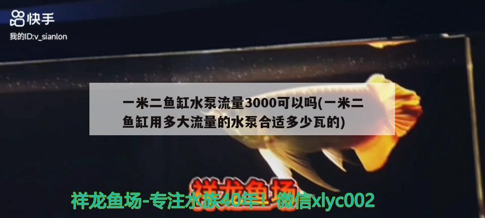 一米二魚缸水泵流量3000可以嗎(一米二魚缸用多大流量的水泵合適多少瓦的) 魚缸水泵