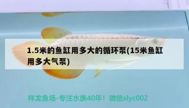 1.5米的魚(yú)缸用多大的循環(huán)泵(15米魚(yú)缸用多大氣泵) 申古銀版魚(yú)