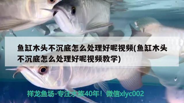 魚缸木頭不沉底怎么處理好呢視頻(魚缸木頭不沉底怎么處理好呢視頻教學) 肥料