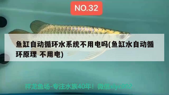 魚缸自動循環(huán)水系統(tǒng)不用電嗎(魚缸水自動循環(huán)原理不用電)