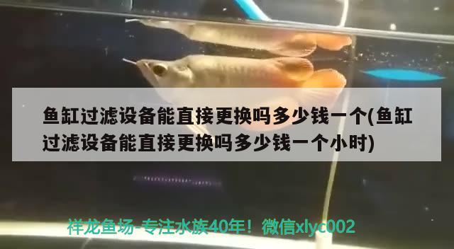 魚缸過濾設備能直接更換嗎多少錢一個(魚缸過濾設備能直接更換嗎多少錢一個小時) 過濾設備