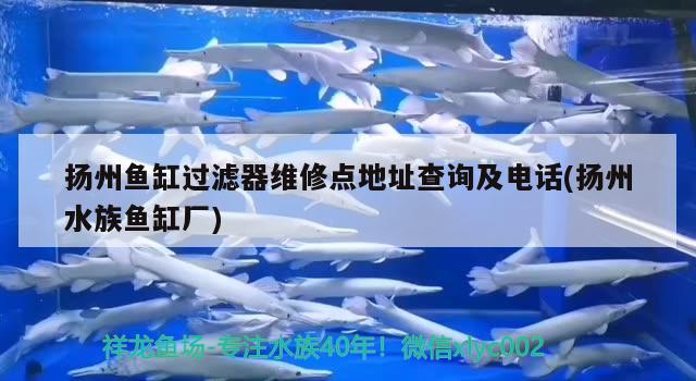 揚(yáng)州魚缸過濾器維修點地址查詢及電話(揚(yáng)州水族魚缸廠)