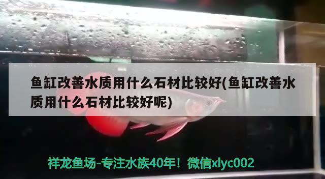 魚缸改善水質(zhì)用什么石材比較好(魚缸改善水質(zhì)用什么石材比較好呢) 泰國雪鯽魚