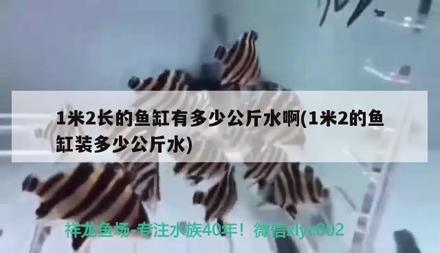 1米2長的魚缸有多少公斤水啊(1米2的魚缸裝多少公斤水) 廣州水族器材濾材批發(fā)市場