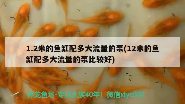 1.2米的魚缸配多大流量的泵(12米的魚缸配多大流量的泵比較好)