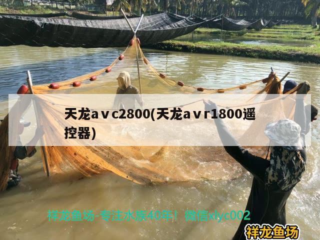 天龍aⅴc2800(天龍aⅴr1800遙控器) 觀賞魚