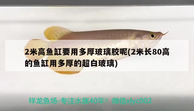 2米高魚缸要用多厚玻璃膠呢(2米長80高的魚缸用多厚的超白玻璃) 金頭過背金龍魚