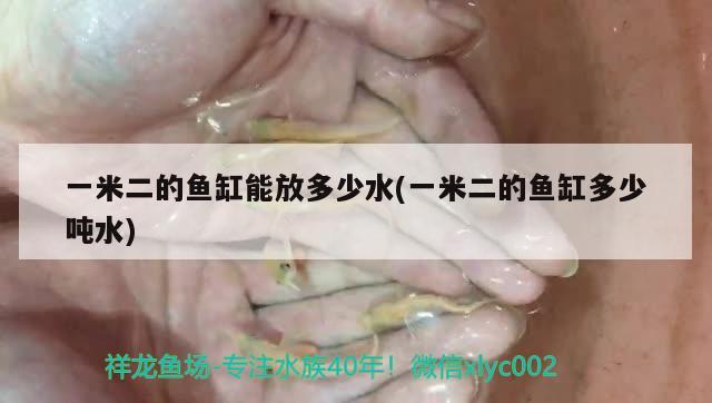 一米二的魚缸能放多少水(一米二的魚缸多少噸水)