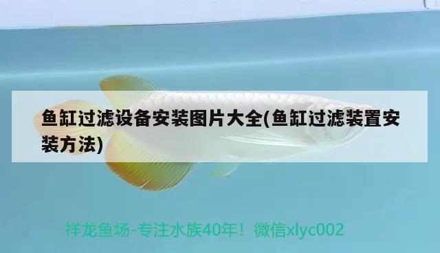 魚缸過濾設備安裝圖片大全(魚缸過濾裝置安裝方法) 過濾設備