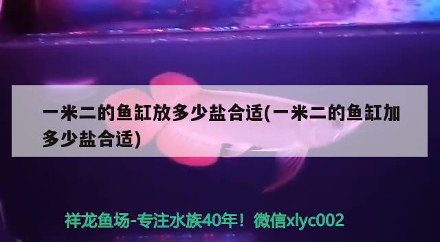 一米二的魚缸放多少鹽合適(一米二的魚缸加多少鹽合適) 泰龐海鰱魚