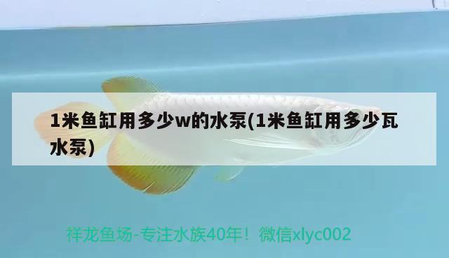 1米魚(yú)缸用多少w的水泵(1米魚(yú)缸用多少瓦水泵)