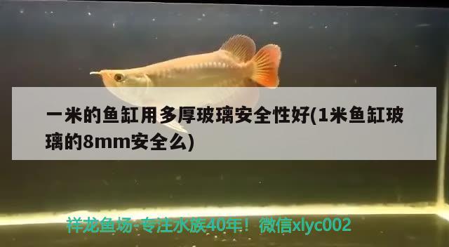 一米的魚(yú)缸用多厚玻璃安全性好(1米魚(yú)缸玻璃的8mm安全么)