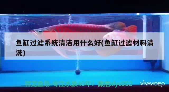 魚(yú)缸過(guò)濾系統(tǒng)清潔用什么好(魚(yú)缸過(guò)濾材料清洗) 水族雜談