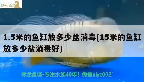 1.5米的魚缸放多少鹽消毒(15米的魚缸放多少鹽消毒好)