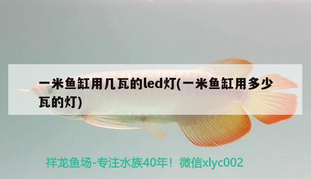 一米魚(yú)缸用幾瓦的led燈(一米魚(yú)缸用多少瓦的燈) 羅漢魚(yú)