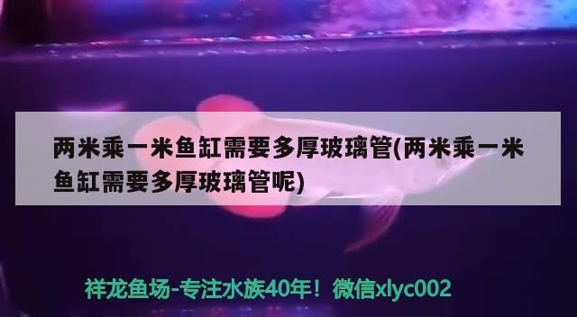 兩米乘一米魚缸需要多厚玻璃管(兩米乘一米魚缸需要多厚玻璃管呢) 紅龍福龍魚