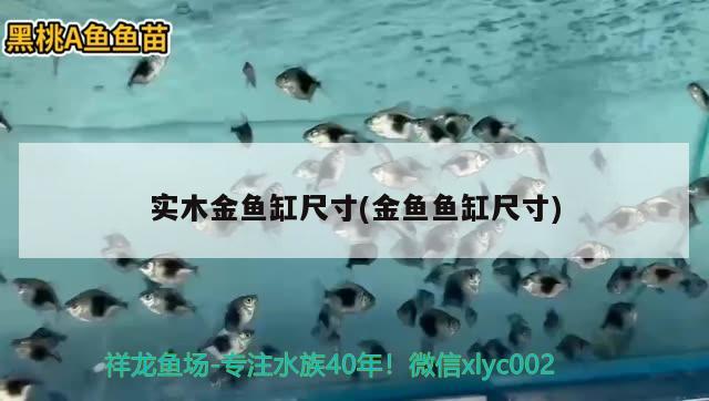 實木金魚缸尺寸(金魚魚缸尺寸) 金龍魚糧