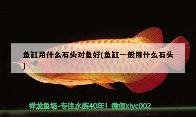 魚缸用什么石頭對魚好(魚缸一般用什么石頭)