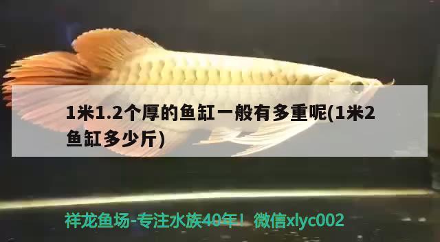 1米1.2個(gè)厚的魚(yú)缸一般有多重呢(1米2魚(yú)缸多少斤) 申古銀版魚(yú)