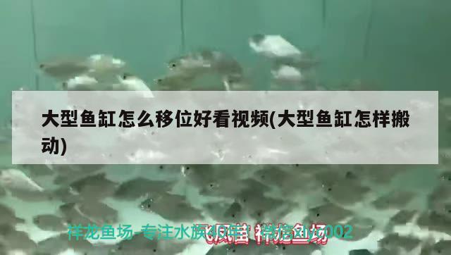 大型魚缸怎么移位好看視頻(大型魚缸怎樣搬動)