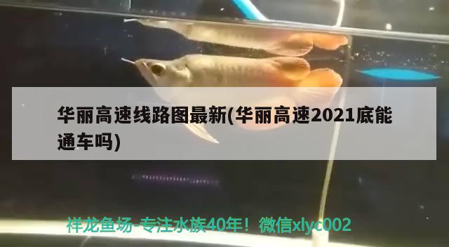 華麗高速線路圖最新(華麗高速2021底能通車嗎) 觀賞魚