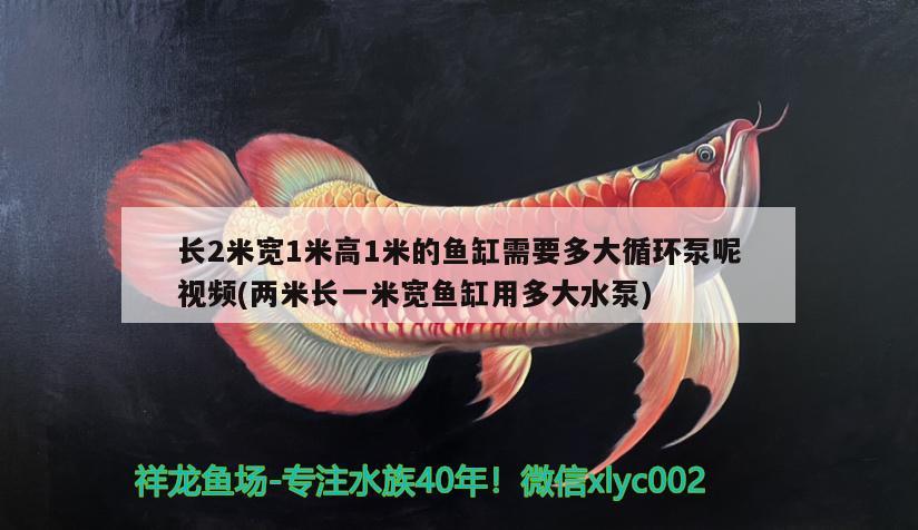 長(zhǎng)2米寬1米高1米的魚(yú)缸需要多大循環(huán)泵呢視頻(兩米長(zhǎng)一米寬魚(yú)缸用多大水泵) 除藻劑