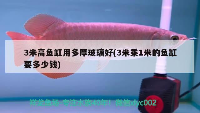 3米高魚缸用多厚玻璃好(3米乘1米的魚缸要多少錢)