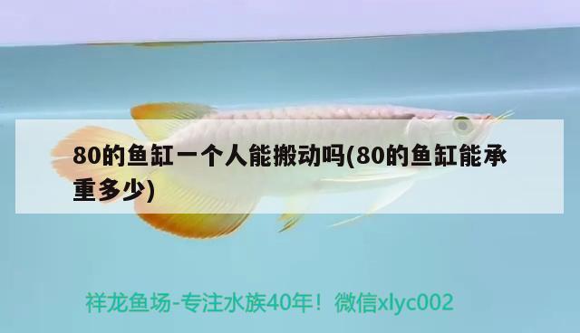 80的魚缸一個人能搬動嗎(80的魚缸能承重多少) 南美異型魚