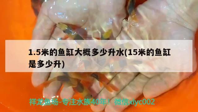 1.5米的魚缸大概多少升水(15米的魚缸是多少升) 胭脂孔雀龍魚