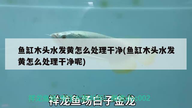 魚缸木頭水發(fā)黃怎么處理干凈(魚缸木頭水發(fā)黃怎么處理干凈呢) 印尼小紅龍 第2張