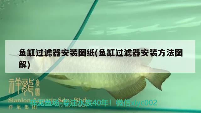 魚缸過濾器安裝圖紙(魚缸過濾器安裝方法圖解)