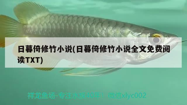 日暮倚修竹小說(日暮倚修竹小說全文免費(fèi)閱讀TXT) 觀賞魚