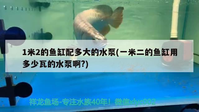 1米2的魚缸配多大的水泵(一米二的魚缸用多少瓦的水泵啊?)